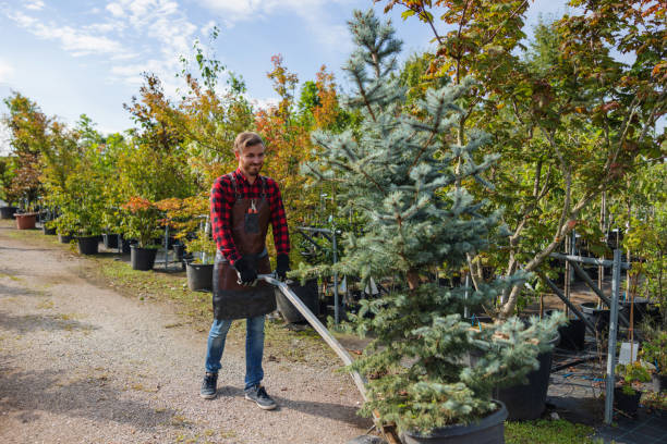 Mulching Services in Wagener, SC